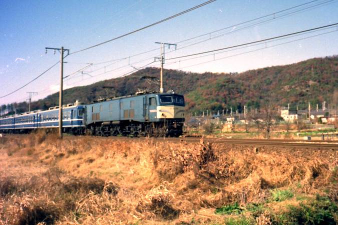 全国の列車ガイド（急行【屋久島】） - 日本の旅・鉄道見聞録