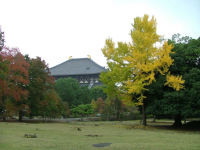 東大寺の風景