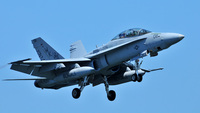 VMFA-224 Fighting Bengals
