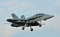 VMFA-224 Fighting Bengals