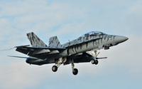 ＶＭＦＡ－２２４　Ｆｉｇｈｔｉｎｇ　Ｂｅｎｇａｌｓ