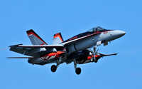 VFA-94 Mighty Shrikes