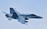 VFA-94 Mighty Shrikes