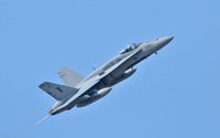 VMFA-115 Silver Eagles