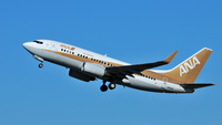 ANA B737-700 Gold Jet