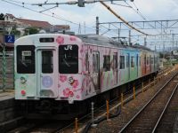105系和歌山線