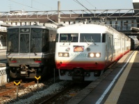 117系+223系