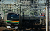 E231系東海道本線