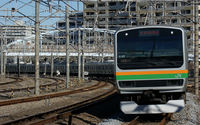 E231系東海道本線