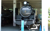 C51 239