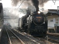 D51 498