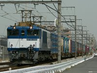 EF64 1010