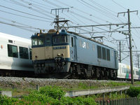 EF64 1012