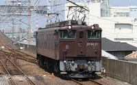EF64 37