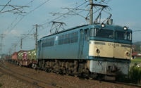 EF65 116
