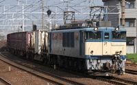 EF64 1050