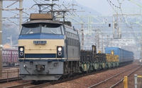 EF66 36