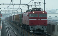 ＥＦ８１ ８１