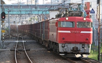 ＥＦ８１ ８７