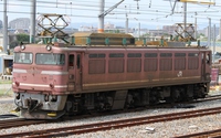 EF81 28
