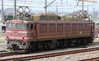 ＥＦ８１ ２８