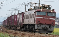 EF81 142