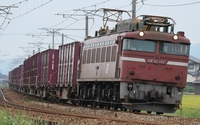 ＥＦ８１ １４２