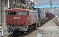 ＥＦ８１ ３０１