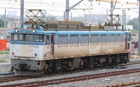 ＥＦ８１ ５０３