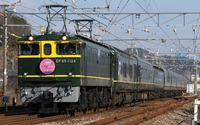 EF65 1124