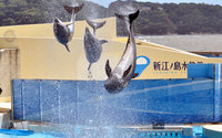 新江ノ島水族館