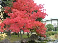 上田城にて