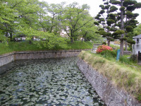 龍岡城