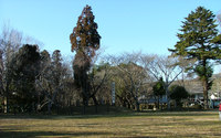 長篠城本丸跡