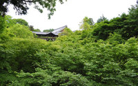 東福寺通天橋