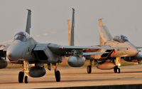 Ｆ－１５Ｊ＆Ｆ－１５ＤＪ　３０４ＳＱ