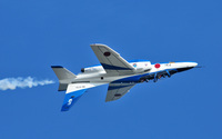 Ｔ－４ Blue Impulse　＃７３１（５番機）