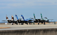 Ｆ－１５ＤＪ  新田原AggressorSQ