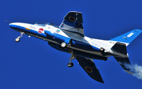 Ｔ－４ Blue Impulse　＃７２８（６番機）