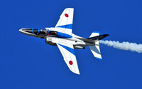 Ｔ－４ Blue Impulse　＃７２８（６番機）