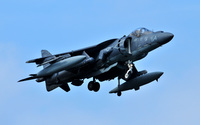 ＶＭＡ－２１４　ＢＬＡＣＫＳＨＥＥＰ