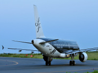 ＳｔａｒＦｌｙｅｒ　Ａ３２０