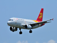 ＤＥＥＲ ＡＩＲ　Ａ３１９