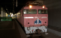 ＥＦ８１富士