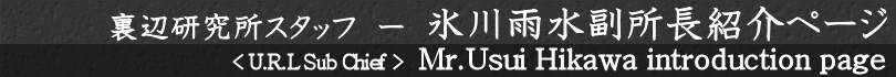 XJЉy[W